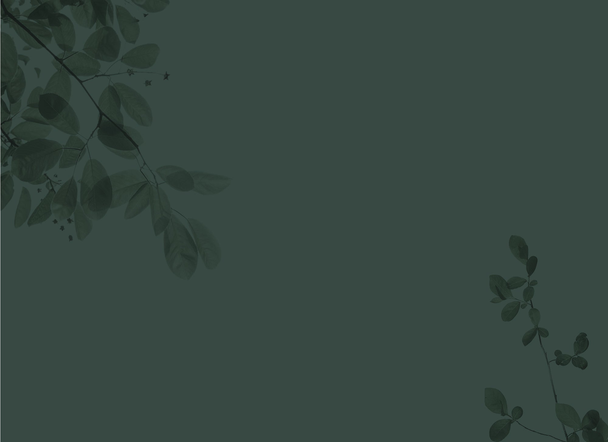 Green leafy background