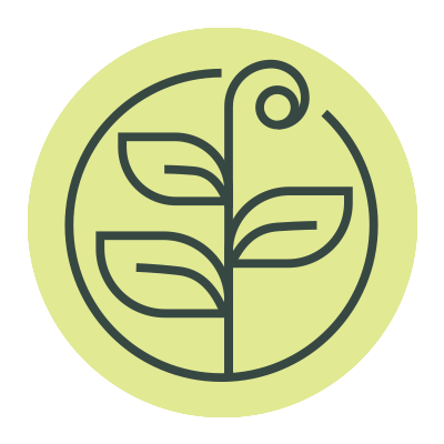 Tree Icon