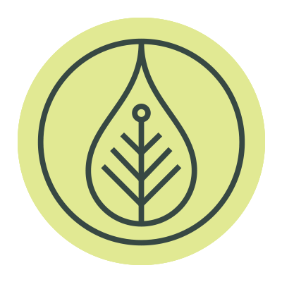 Leaf Icon